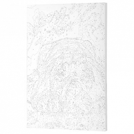 Картина по номерам 40х50 см, ОСТРОВ СОКРОВИЩ "Мечтай!", на подрамнике, акрил, кисти, 662904