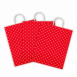 Крафт-пакет бумажный "Горох на красном" 22х12х25 см, с кручеными ручками, 100 г/м2, белый, 112979