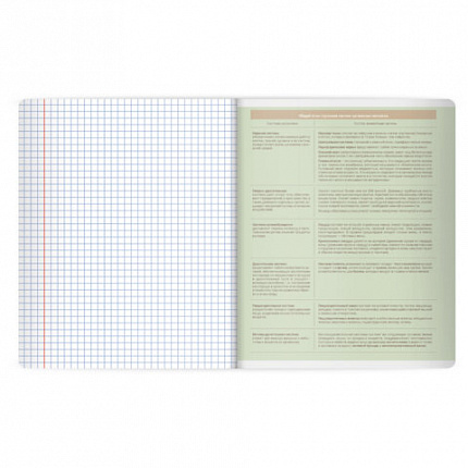 РЕЗЕРВ Тетрадь предметная MonoPastel 48л, пластиковая обложка, БИОЛОГИЯ, клетка, подсказ, BRAUBERG, 405504
