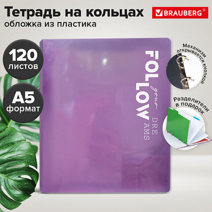 Тетрадь на кольцах А5 175х220, 120л, пластик, разделители, BRAUBERG, ФИОЛЕТОВЫЙ, 405262