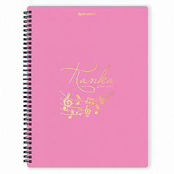 Папка-тетрадь для нот А4, 20 вкладышей на 40 страниц, на гребне, пластик, РОЗОВАЯ, BRAUBERG, 404642