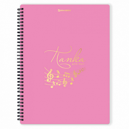 Папка тетрадь для нот А4, 20 вкладышей на 40 страниц, на гребне, пластик, РОЗОВАЯ, BRAUBERG, 404642