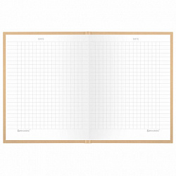 Блокнот МАЛЫЙ ФОРМАТ 110х147 мм, А6, 80 л., твердый, клетка, BRAUBERG "Minimal", бежевый, 116446