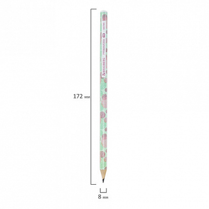 Карандаш чернографитный BRAUBERG "PRIMAVERA", 1 шт., HB, корпус ассорти, 181765