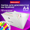 Папка-органайзер на резинке 12 отделений, BRAUBERG "Glassy", А4, прозрачная, 271929
