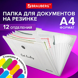 Папка-органайзер на резинке 12 отделений, BRAUBERG "Glassy", А4, прозрачная, 271929