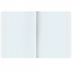 Тетрадь А5, 48 л., BRAUBERG, скоба, клетка, выборочный лак, "Классика" (микс в спайке), 404344