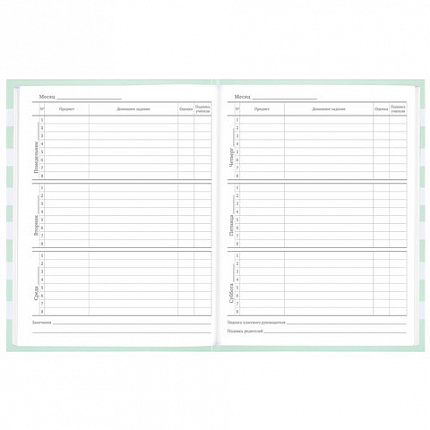 Дневник 1-11 класс 48 л., твердый, BRAUBERG, блестки, с подсказом, "Котик", 106606