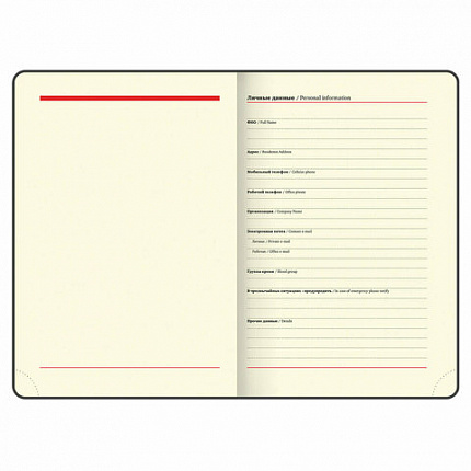 Ежедневник недатированный А5 (138х213 мм), BRAUBERG VISTA, под кожу, твердый, 136 л., "Avocado", 112026