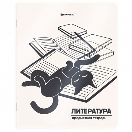 Тетрадь предметная КОТ-НЕПОСЕДА 48л, пластиковая обложка, ЛИТЕРАТУРА, линия, подсказ, BRAUBERG, 405535
