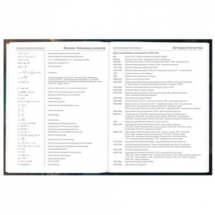 Дневник 5-11 класс 48 л., гибкая обложка, BRAUBERG, глянцевая ламинация, с подсказом, "Cat", 107181