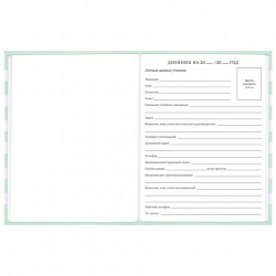 Дневник 1-11 класс 48 л., твердый, BRAUBERG, блестки, с подсказом, "Котик", 106606