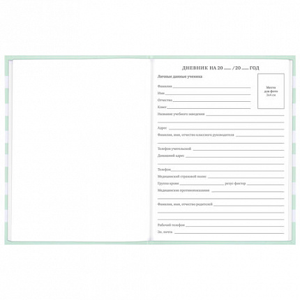 Дневник 1-11 класс 48 л., твердый, BRAUBERG, блестки, с подсказом, "Котик", 106606