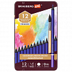 Карандаши художественные цветные акварельные BRAUBERG ART PREMIERE, 12 цветов, грифель 4 мм, металл, 181533