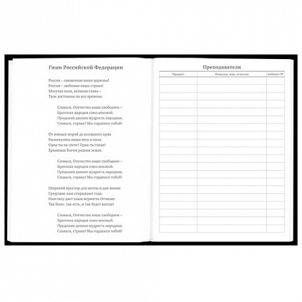 Дневник 5-11 класс 48 л., твердый, BRAUBERG, матовая ламинация, с подсказом, "Гитара", 107185