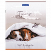 Тетрадь А5 48 л. BRAUBERG скоба, клетка, обложка картон, "Best Friends" (микс в спайке), 404360