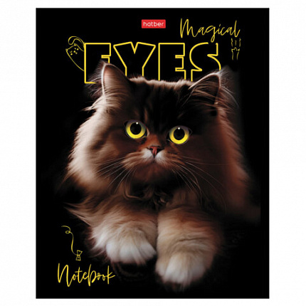 Тетрадь А5 48 л., HATBER скоба, клетка, матовая ламинация, 3D-лак, "Волшебные глаза" (микс), 088313, 48Т5лолВ1