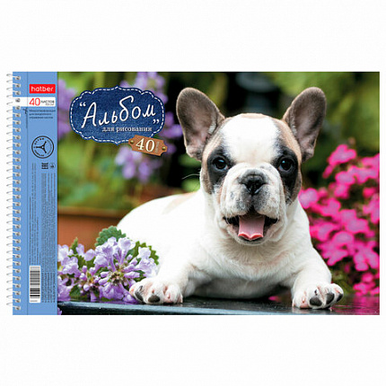 Альбом для рисования, А4, 40 листов, спираль, обложка картон, HATBER, 205х300 мм, "Любимцы" (5 видов), 004142, 40А4Всп