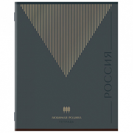 Тетрадь А5, 48 л., STAFF, скоба, линия, офсет №2 ЭКОНОМ, обложка картон, ТЕМНАЯ, 405629