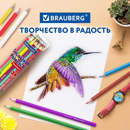 Карандаши цветные BRAUBERG PREMIUM 36 цветов в тубе, трехгранные, мягкий грифель 3,3 мм, 181934