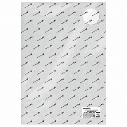 Бумага для акварели 300 г/м2 460x660 мм среднее зерно, 10 листов, BRAUBERG ART PREMIERE, 113233