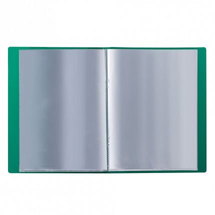 Папка 20 вкладышей BRAUBERG стандарт, зеленая, 0,6 мм, 221593