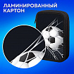 Пенал ПИФАГОР, 3 отделения, ламинированный картон, 19х11 см, "Ball kick", 272253
