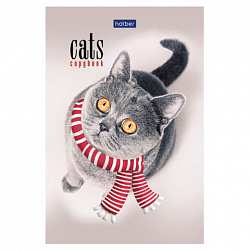 Блокнот МАЛЫЙ ФОРМАТ А6, 40 л., склейка, мелованная бумага, клетка, глянцевая ламинация, HATBER, "Кототерапия", 057230, 40Б6лA1к