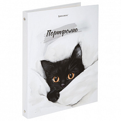 Папка-портфолио универсальная, 4 кольца, 20 файлов, 7БЦ матовая, BRAUBERG "Cat", 107557, 117557