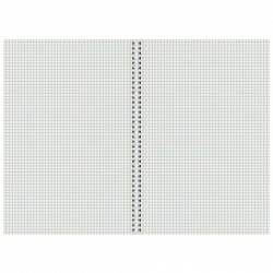 Тетрадь А4 96 л. STAFF "College" гребень, клетка, офсет №2 ЭКОНОМ, обложка картон, ПРИРОДА, 405619