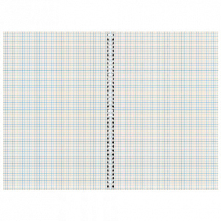 Тетрадь А4 96 л. STAFF College гребень, клетка, офсет №2 ЭКОНОМ, обложка картон, ПРИРОДА, 405619