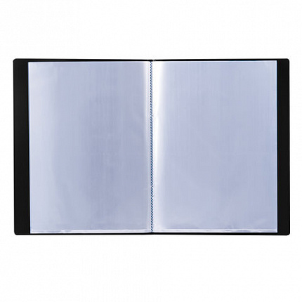 Папка 10 вкладышей BRAUBERG стандарт, черная, 0,6 мм, 221592