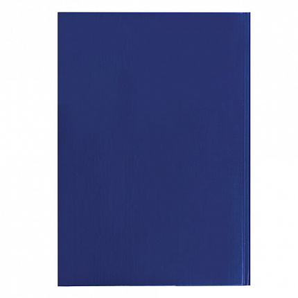 Журнал учета для розничной торговли, 96 л., бумвинил, блок офсет, А4 (200x290 мм), BRAUBERG, 111270