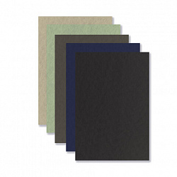 Бумага для пастели ФАКТУРНАЯ, А4, в папке, 20 листов, 5 цветов, 270 г/м2, BRAUBERG ART, 117755