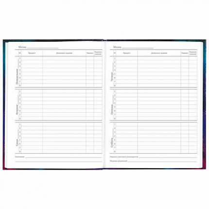 Дневник 5-11 класс 48 л., твердый, BRAUBERG, глянцевая ламинация, с подсказом, "Space cat", 106865