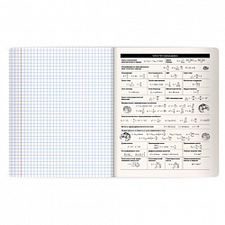 Тетрадь предметная КОТ-НЕПОСЕДА 48 л., пластиковая обложка, ФИЗИКА, клетка, подсказ, BRAUBERG, 405537