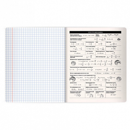 Тетрадь предметная КОТ-НЕПОСЕДА 48л, пластиковая обложка, ФИЗИКА, клетка, подсказ, BRAUBERG, 405537
