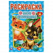 Книжка-раскраска "ПОПУЛЯРНЫЕ СЮЖЕТЫ" АССОРТИ, 145х210 мм, 16 страниц, "УМКА"