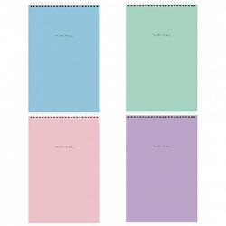 Блокнот БОЛЬШОЙ ФОРМАТ А4 200х290 мм, 80 л., гребень, подложка, клетка, BRAUBERG "Minimal Pastel", 116425