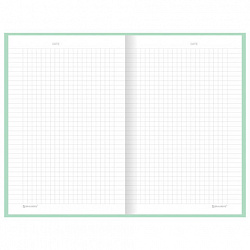 Блокнот А5 134х206 мм, 80 л., твёрдый, клетка, BRAUBERG "Minimal", мятный, 116443