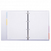 Тетрадь на кольцах БОЛЬШАЯ 305х235 мм А4, 120 л., пластик, с разделителями, BRAUBERG, Фиолетовый, 404623