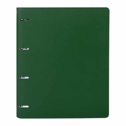 Тетрадь на кольцах БОЛЬШАЯ А4 (240х310 мм), 120 листов, под кожу, клетка, BRAUBERG "Joy", зелёный/светло-зелёный, 404508