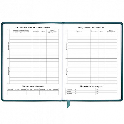 Дневник 1-11 класс 48 л., кожзам (твердая), печать, резинка, конверт, BRAUBERG, "Bright Lion", 106577