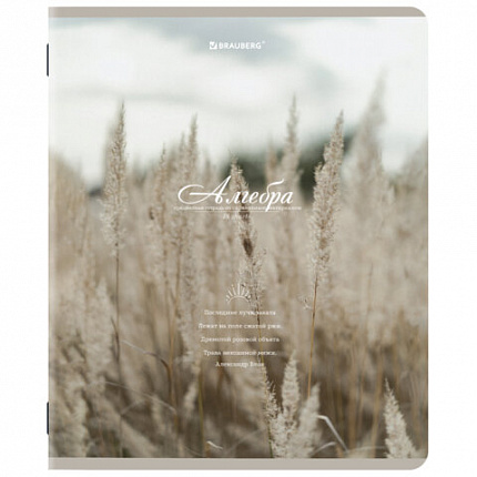 Тетради предметные, КОМПЛЕКТ 12 ПРЕДМЕТОВ, 48 л., SoftTouch, BRAUBERG, "ESTHETICS", 404833