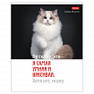 Тетрадь А5 48 л., HATBER скоба, клетка, обложка картон, "Котоюмор" (микс в спайке), 079790, 48Т5В1