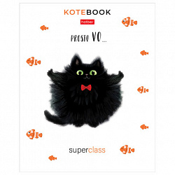 Тетрадь обложка пластик, А5, 48 л., скоба, линия, HATBER, "Котэ" (микс в спайке), 091627, 48Т5В2пл