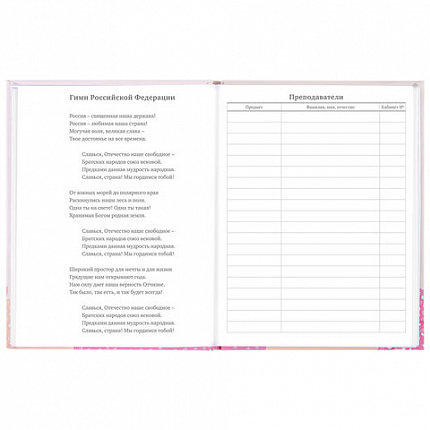 Дневник 5-11 класс 48 л., твердый, BRAUBERG, глянцевая ламинация, с подсказом, "Летний", 106631