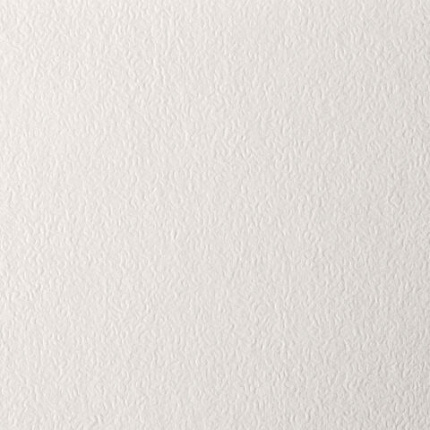 Бумага для пастели А4, 20 л., бумага слоновая кость ГОЗНАК 200 г/м2, тиснение Скорлупа, BRAUBERG ART, 126306