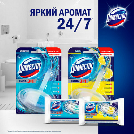 Блок туалетный подвесной твердый 40 г ДОМЕСТОС "Атлантик", основной блок