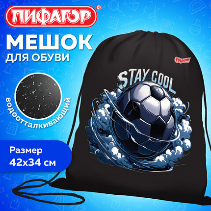 Мешок для обуви ПИФАГОР, 1 отделение, 42х34 см, "Stay cool", 274632